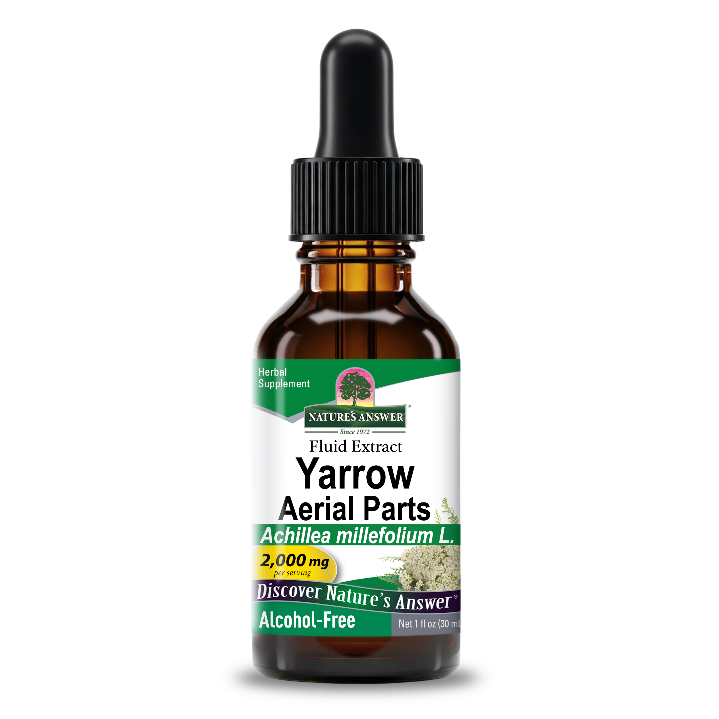 Yarrow Extract - Alcohol Free Liquid