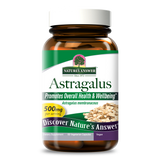 Astragalus Root - Veggie Capsules