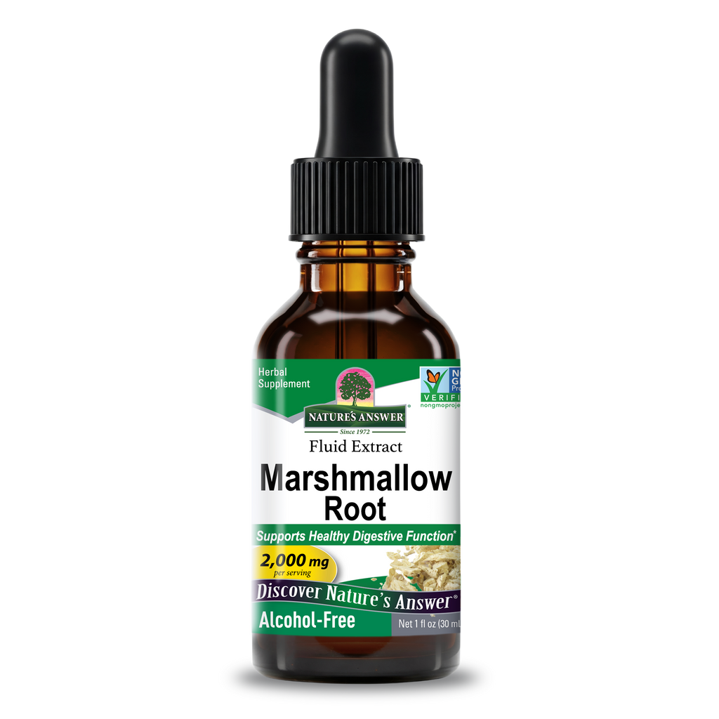 Marshmallow Root Extract - Alcohol Free Liquid