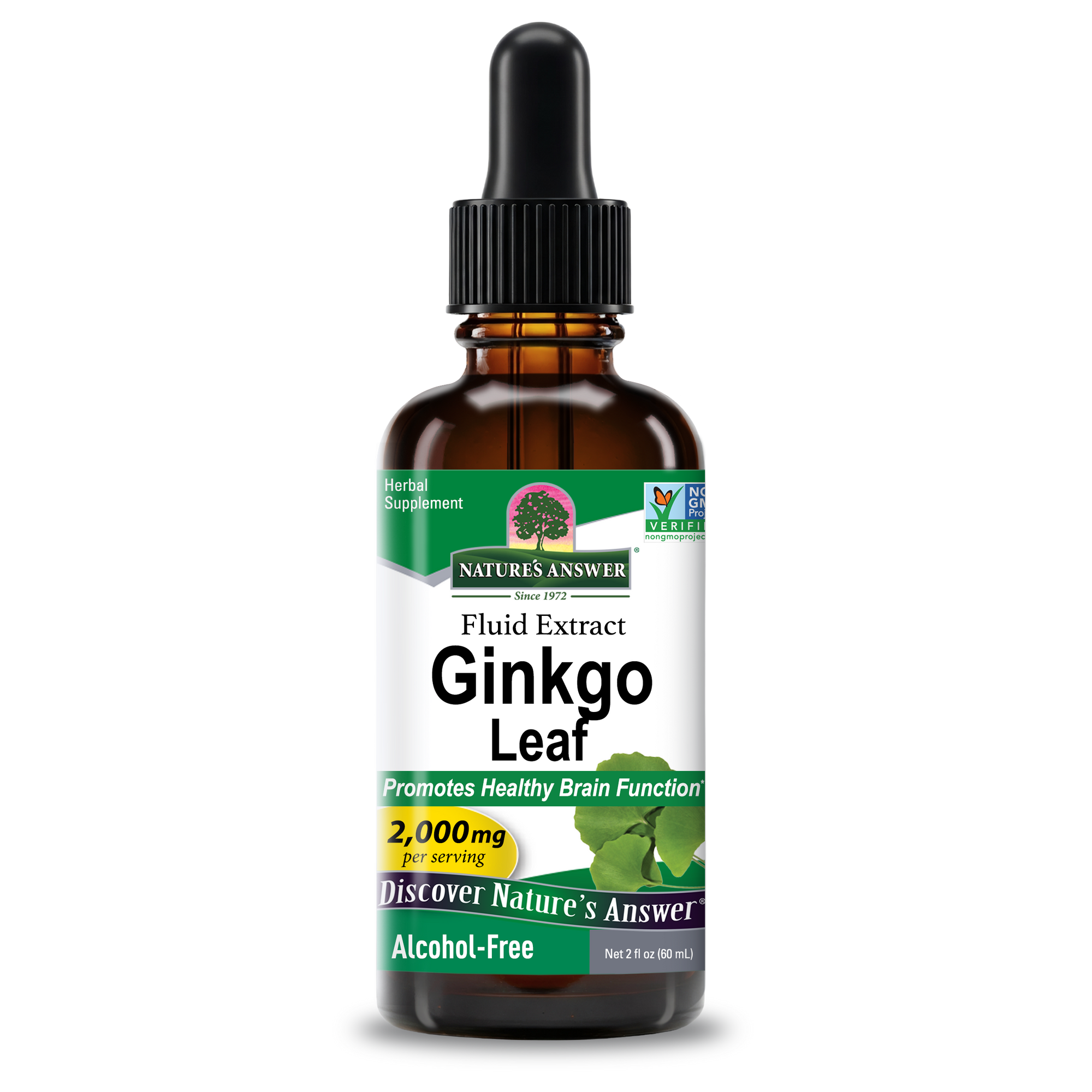 Ginkgo Leaf Extract - Alcohol Free Liquid