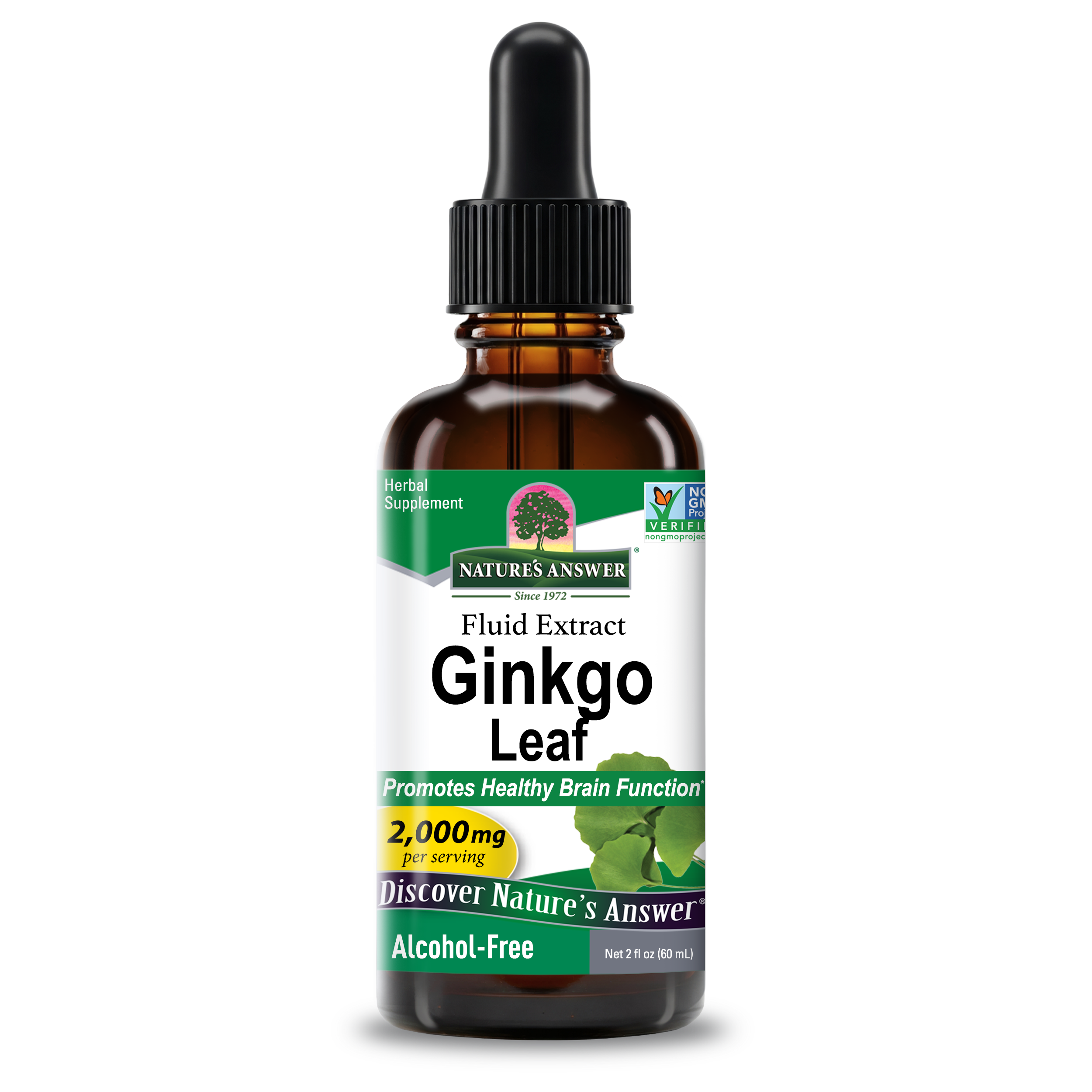 Ginkgo Leaf Extract - Alcohol Free Liquid