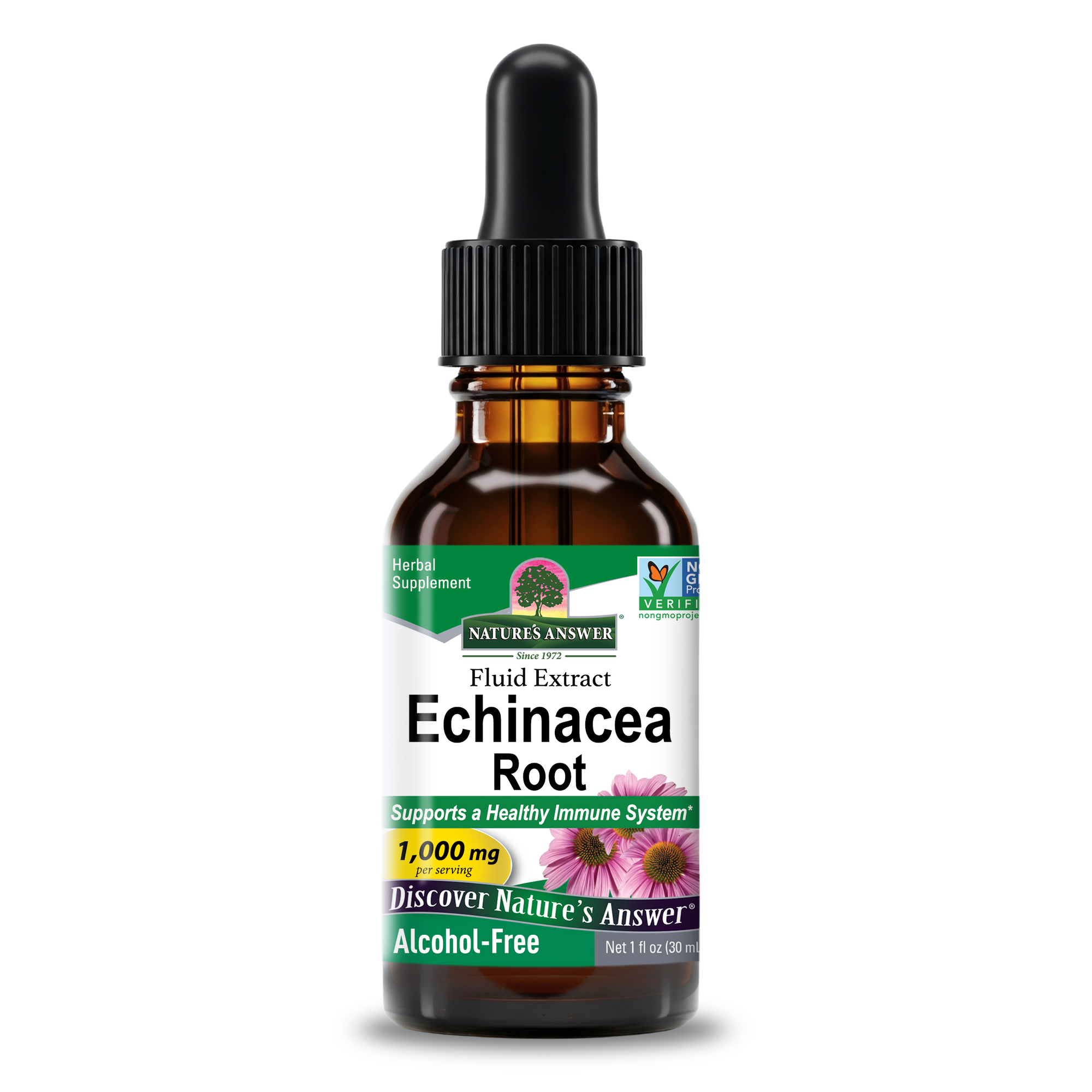 Echinacea Extract — Alcohol-Free Liquid