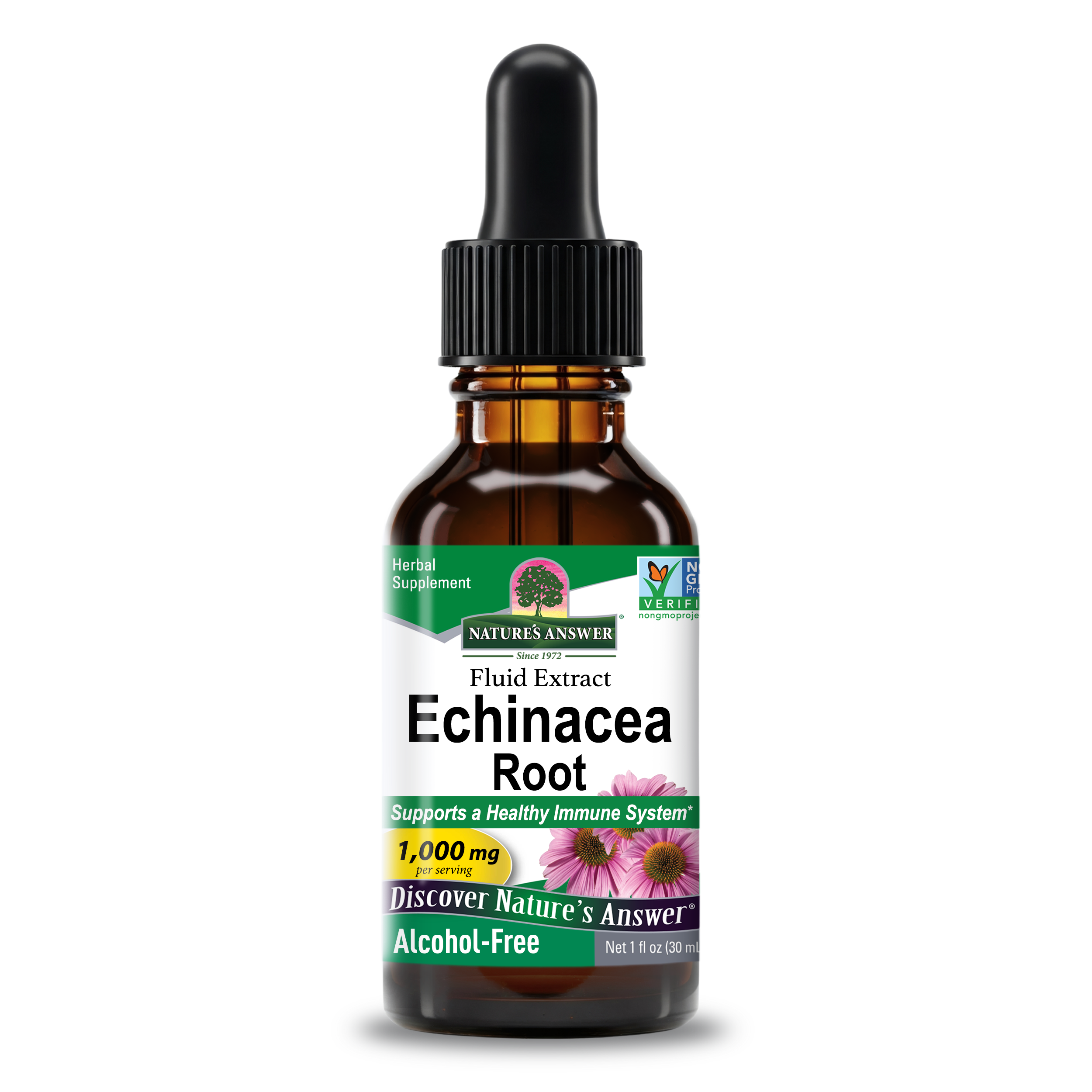 Echinacea Extract - Alcohol Free Liquid