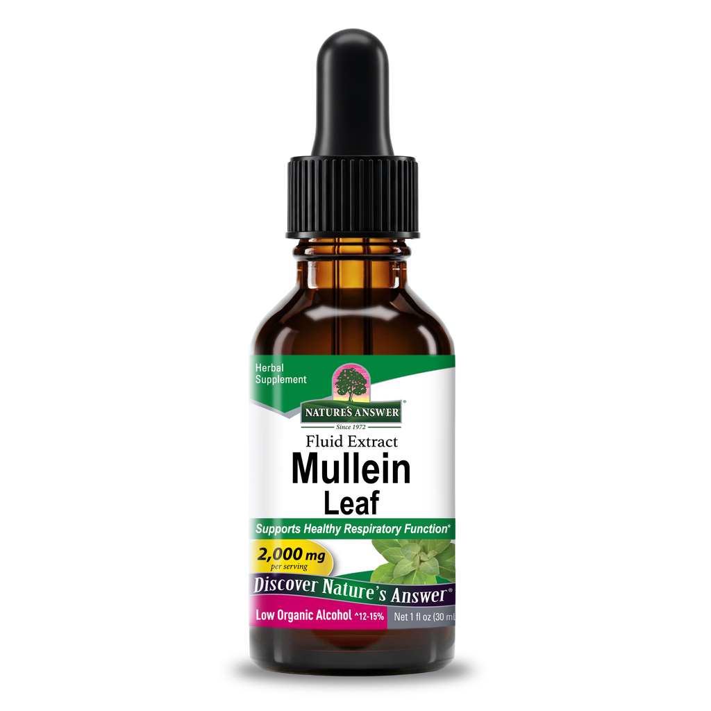 Mullein Extract - Low Alcohol Liquid