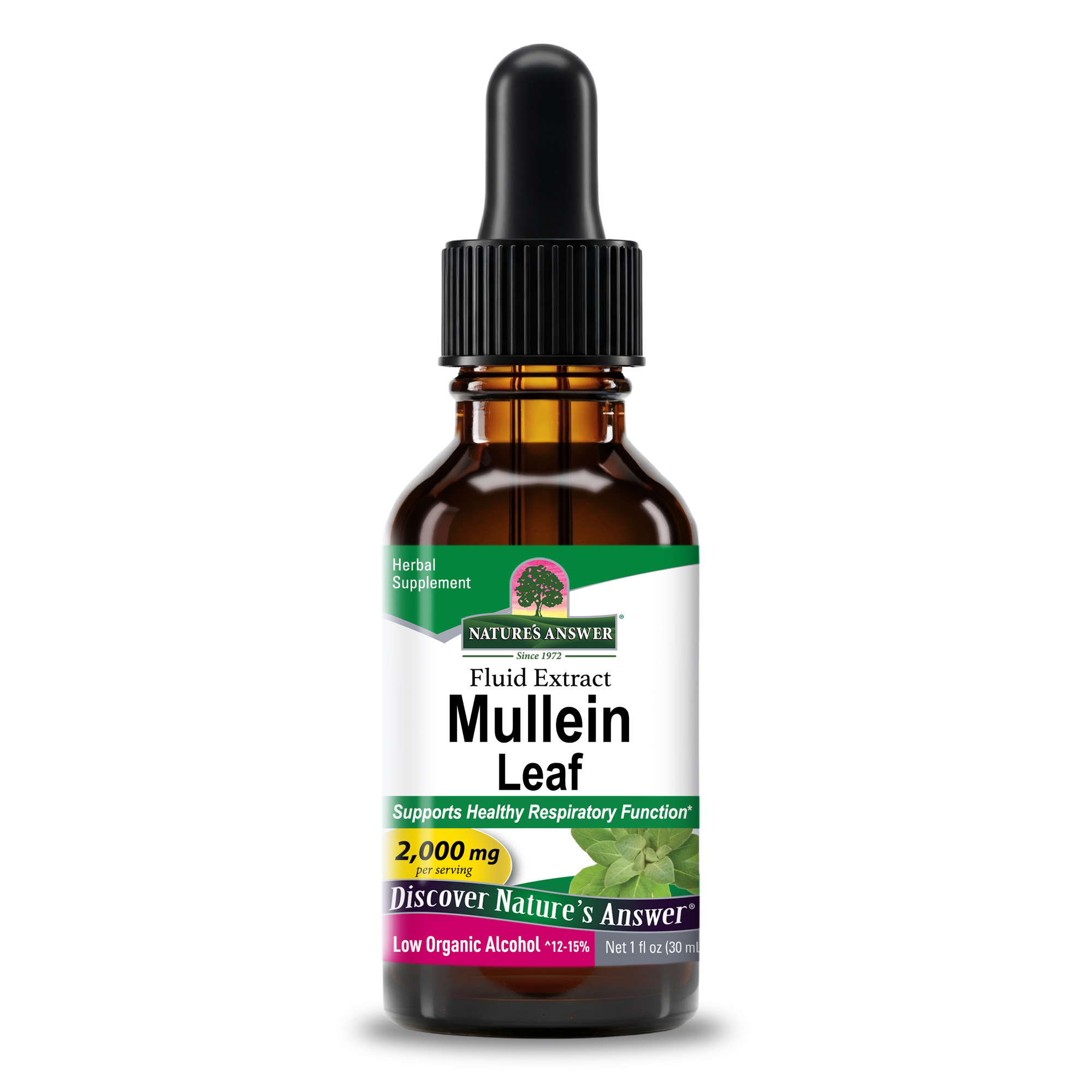 Mullein Extract - Low Alcohol Liquid