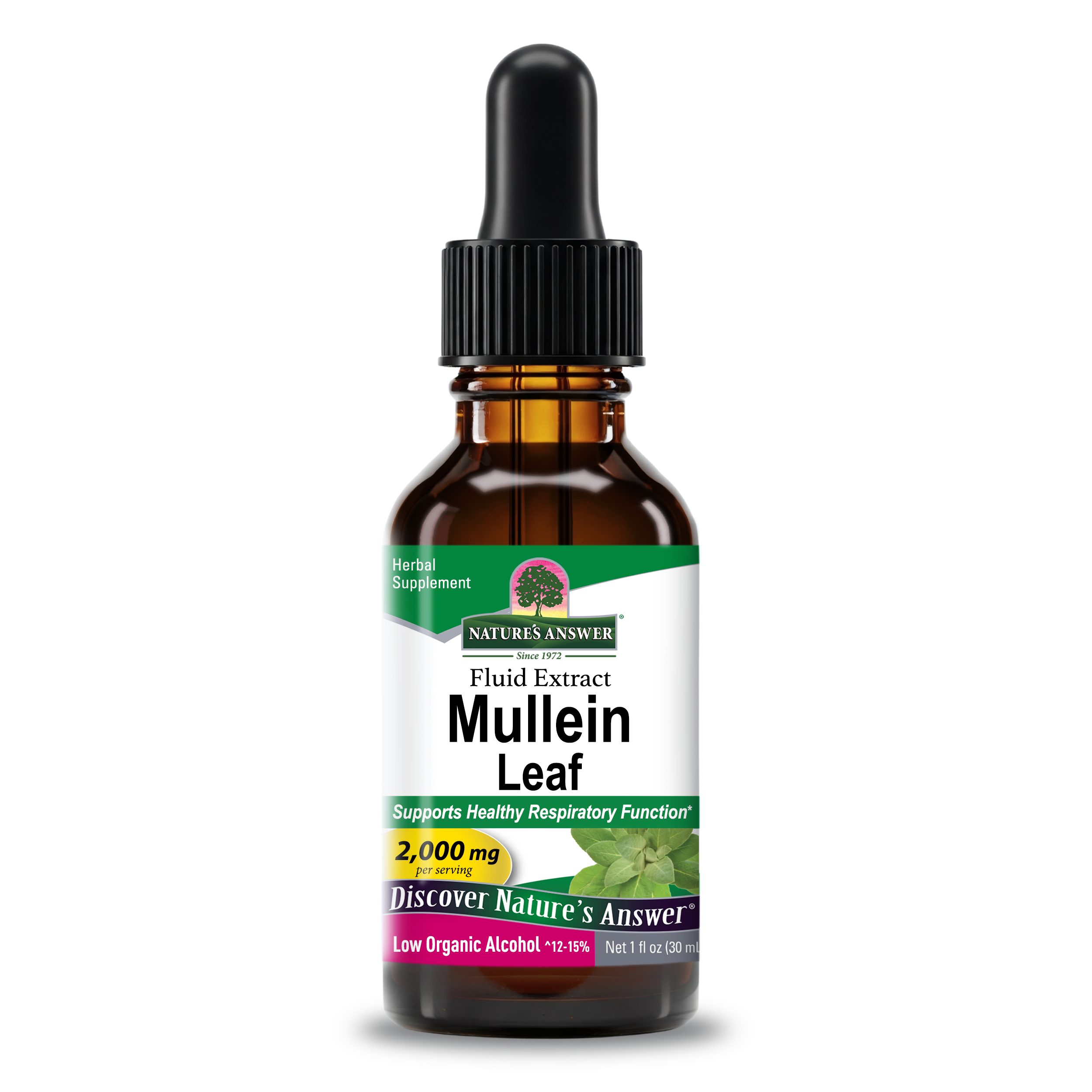 Mullein Extract - Low Alcohol Liquid