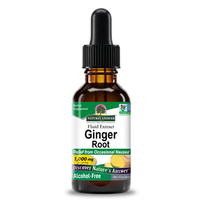 Ginger Extract - Alcohol Free Liquid