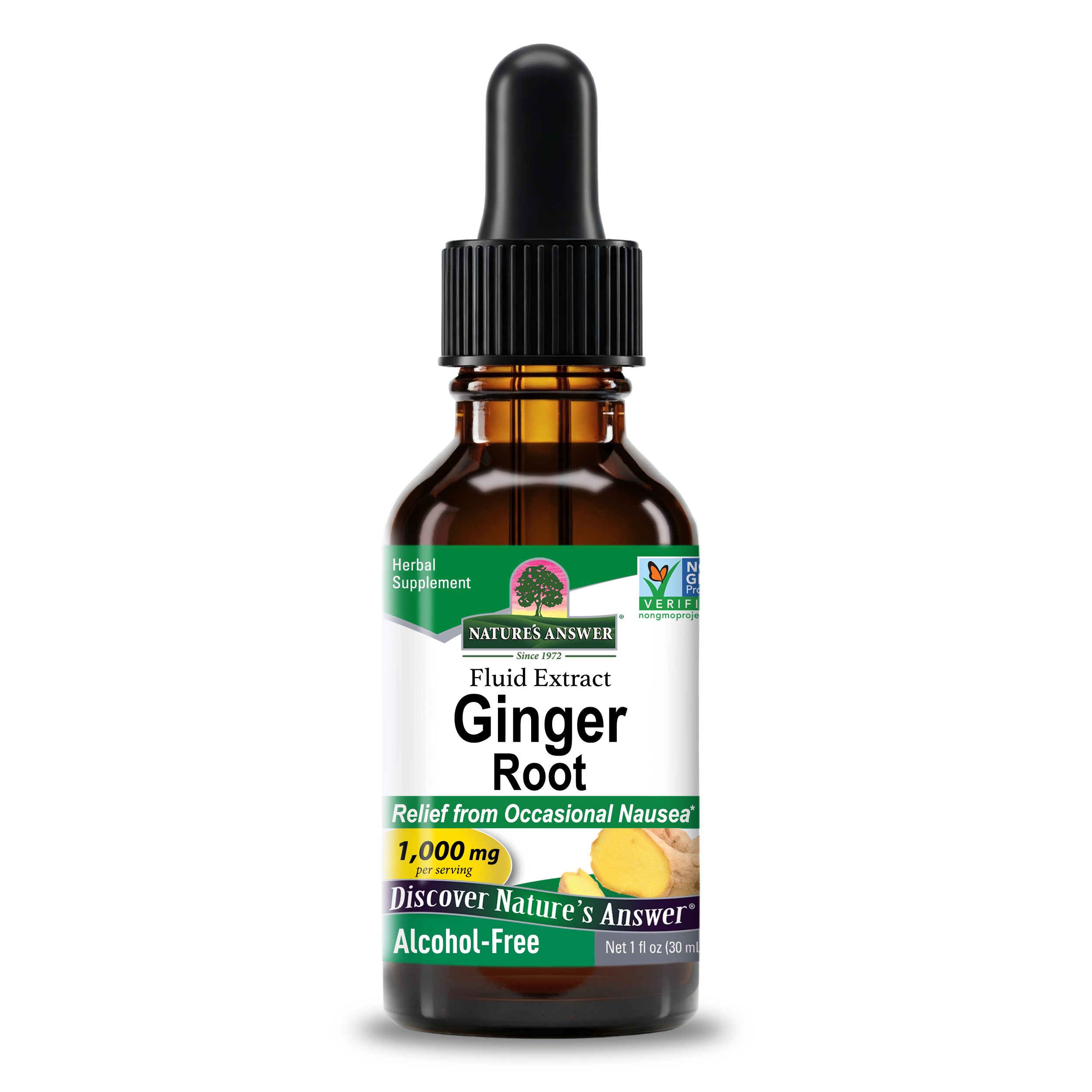 Ginger Extract - Alcohol Free Liquid