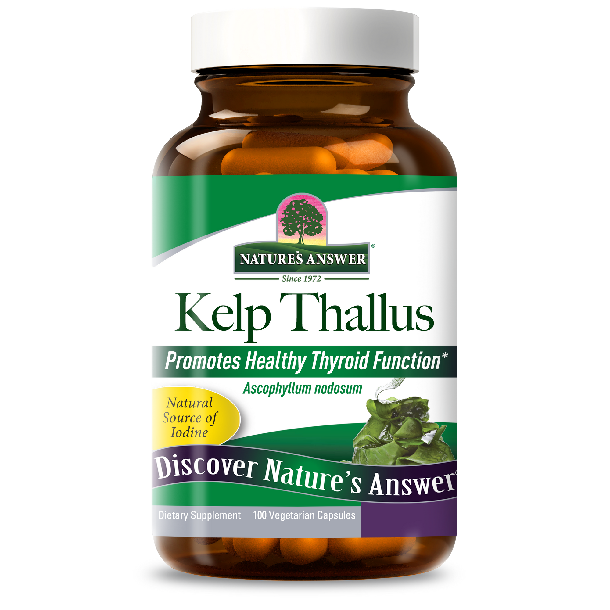Kelp Thallus - Veggie Capsules