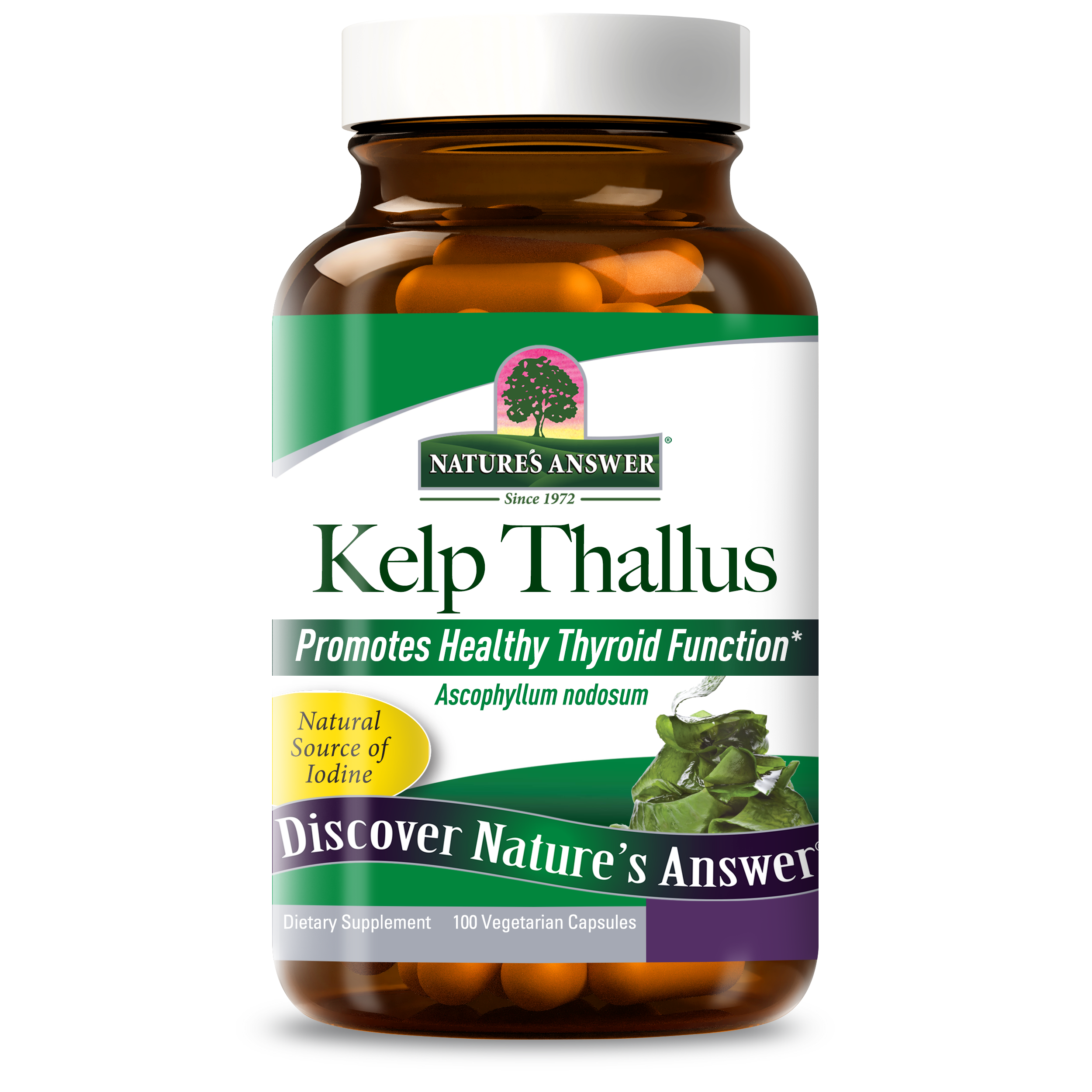 Kelp Thallus - Veggie Capsules