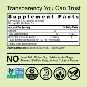 Green Tea Extract - Alcohol Free