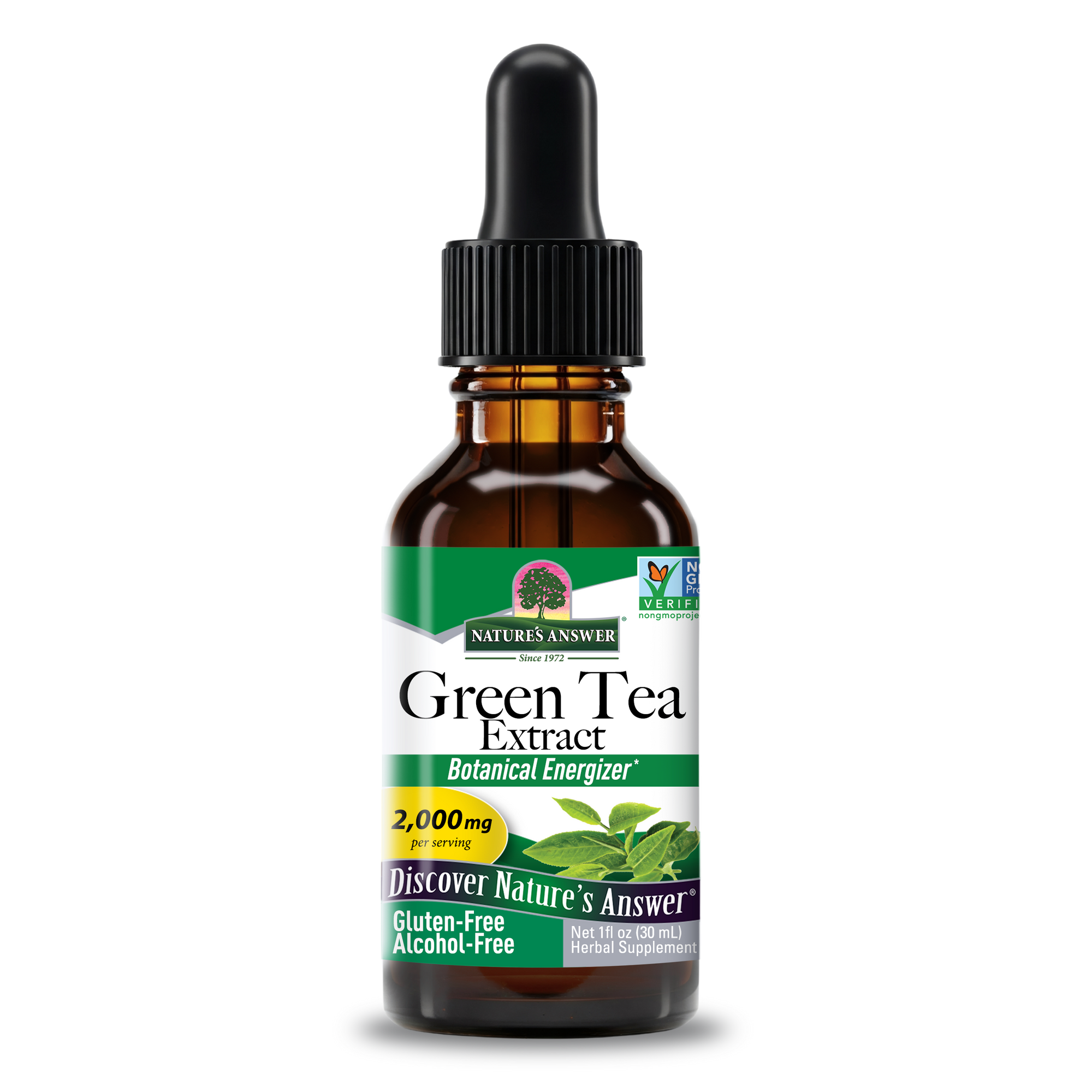 Green Tea Extract - Alcohol Free