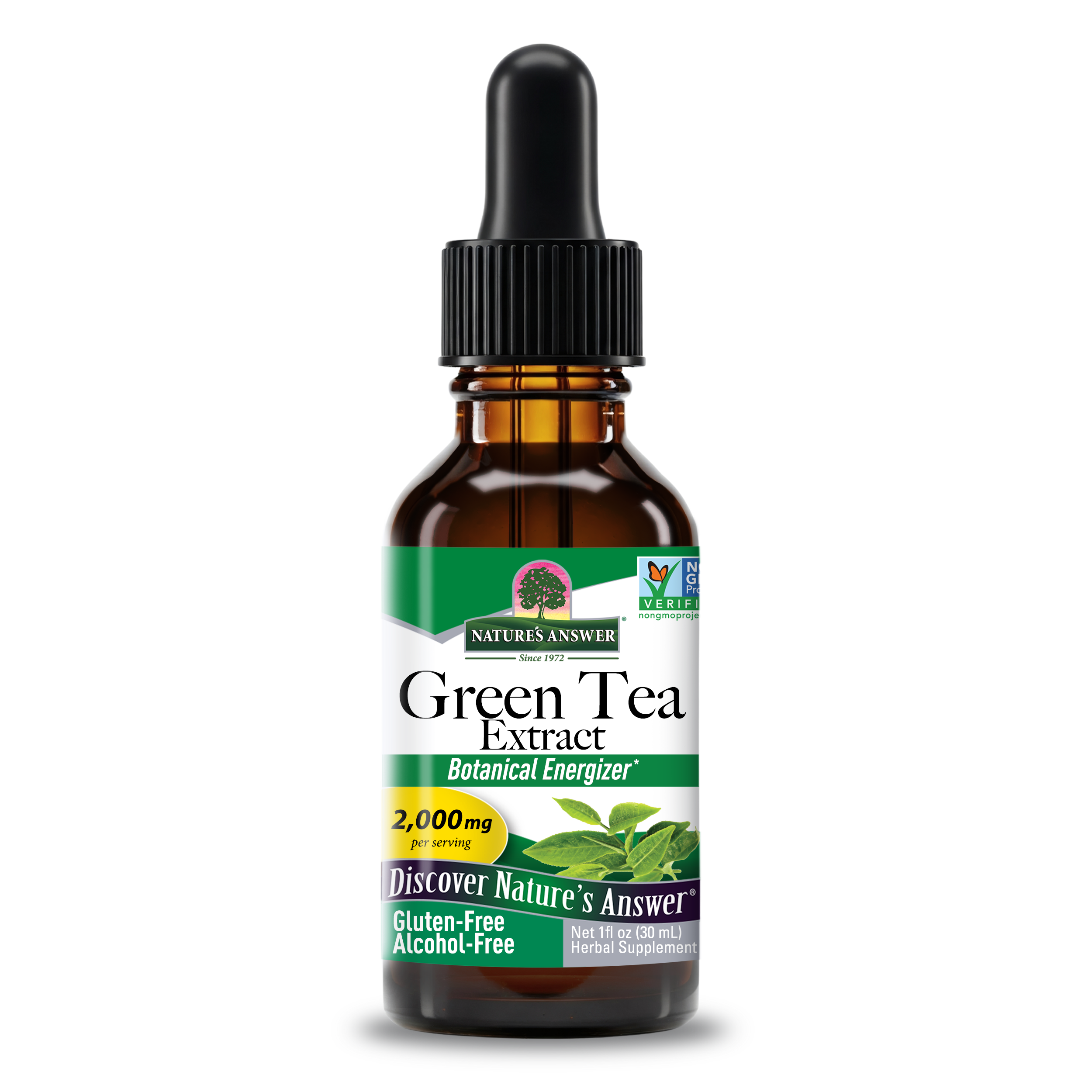 Green Tea Extract - Alcohol Free
