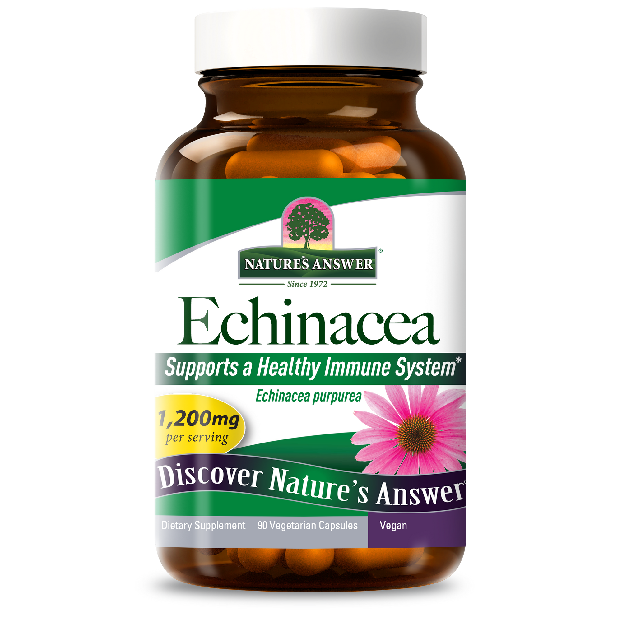 Echinacea Herb - Veggie Capsules