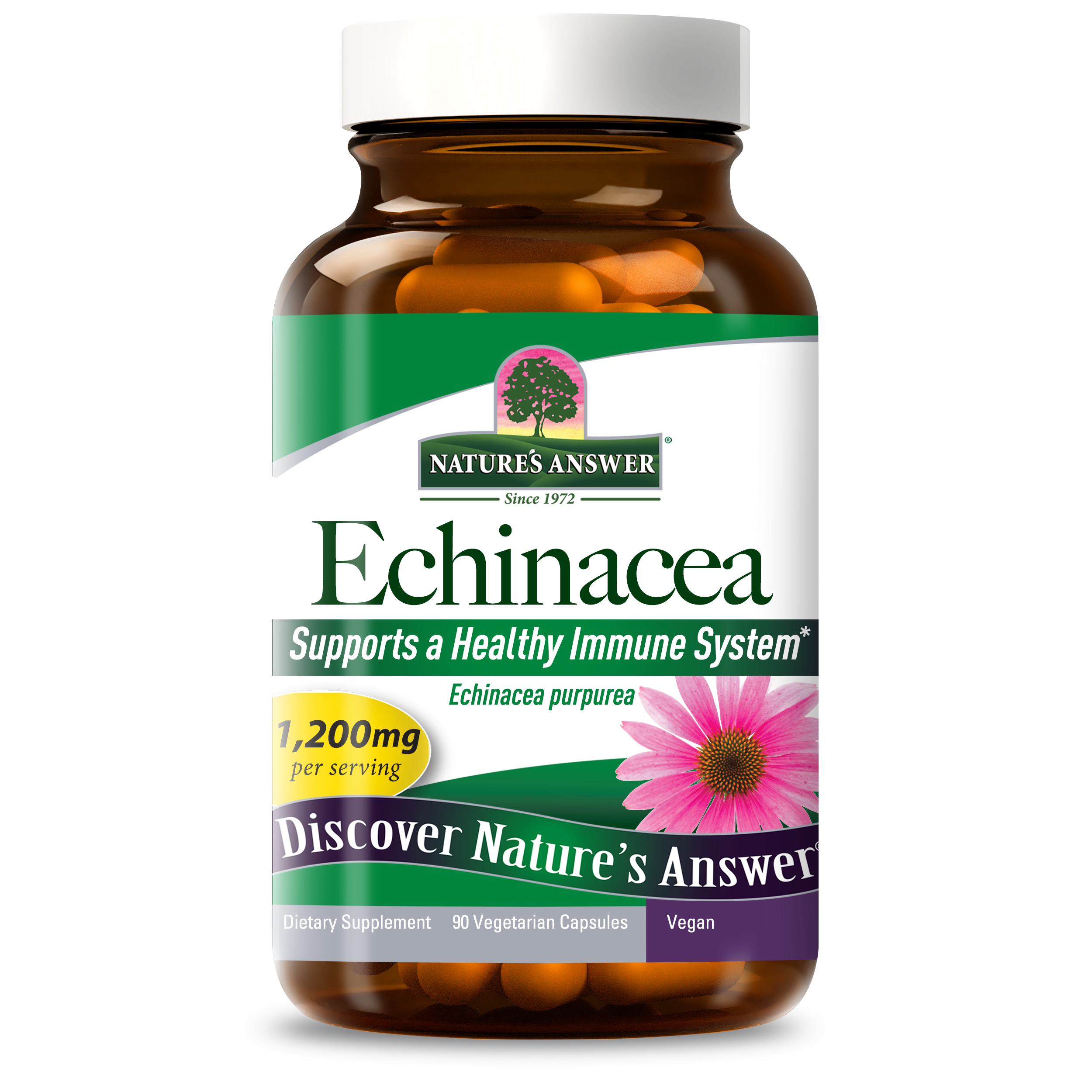 Echinacea Herb - Veggie Capsules
