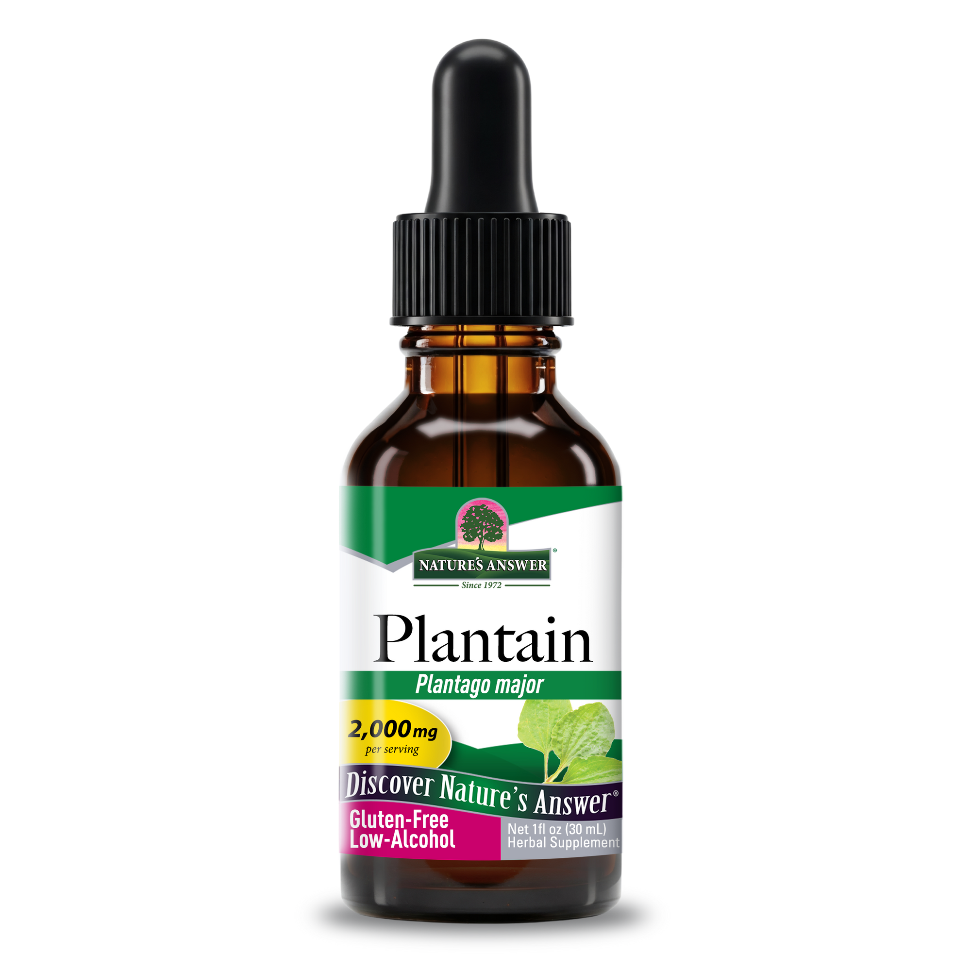Plantain Extract - Low Alcohol Liquid