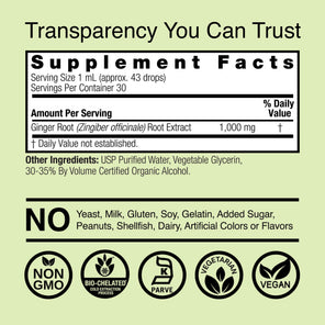 Ginger Extract - Low Alcohol Liquid