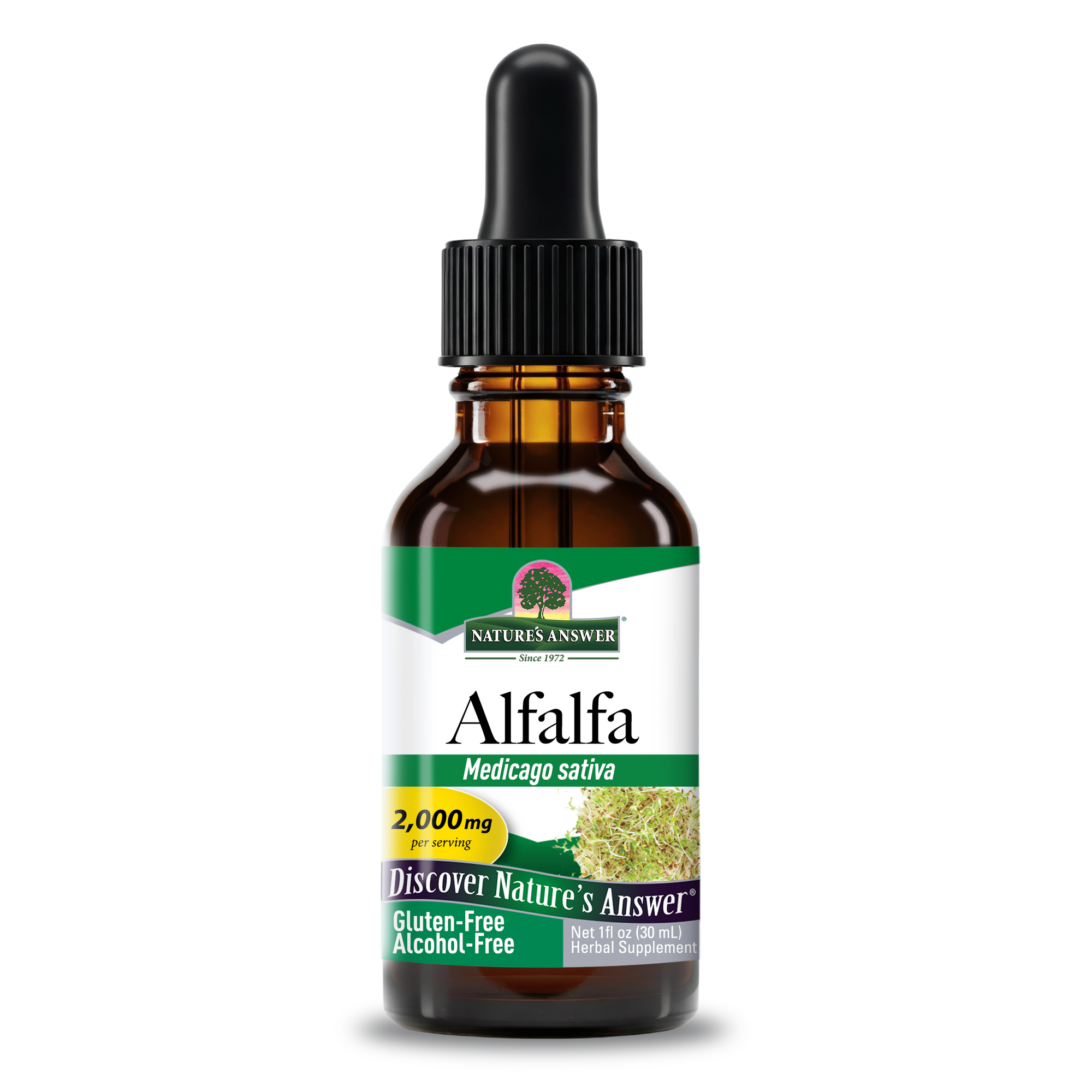 Alfalfa Extract - Alcohol Free Liquid