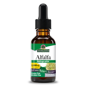 Alfalfa Extract - Alcohol Free Liquid