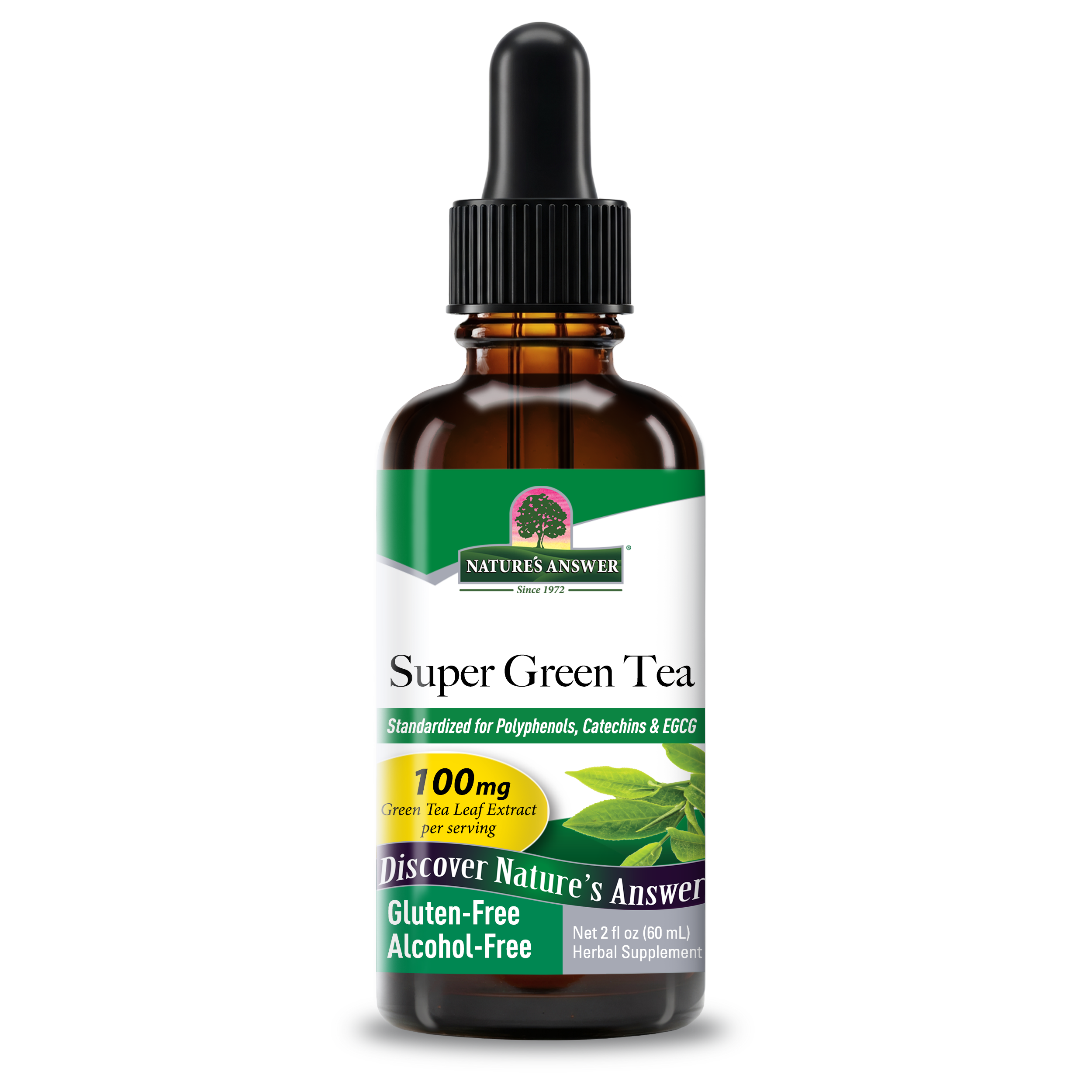 Super Green Tea Extract - Alcohol Free Liquid