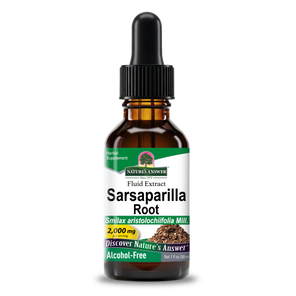 Sarsaparilla Extract - Alcohol Free Liquid