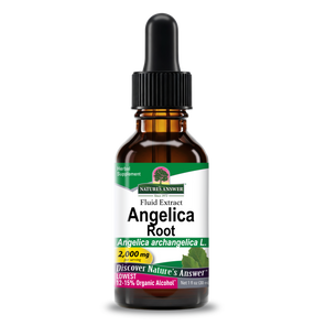 Angelica Extract - Low Alcohol Liquid