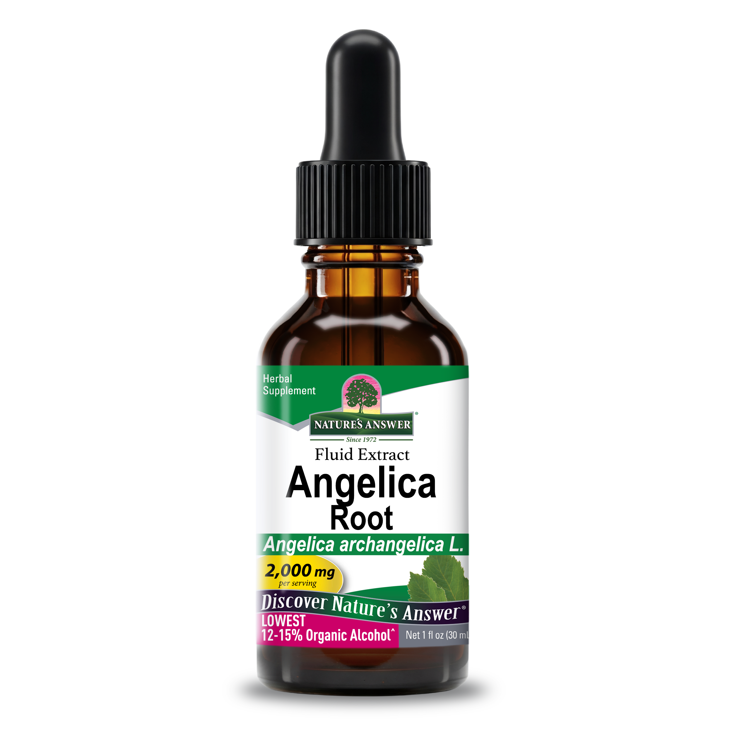 Angelica Extract - Low Alcohol Liquid