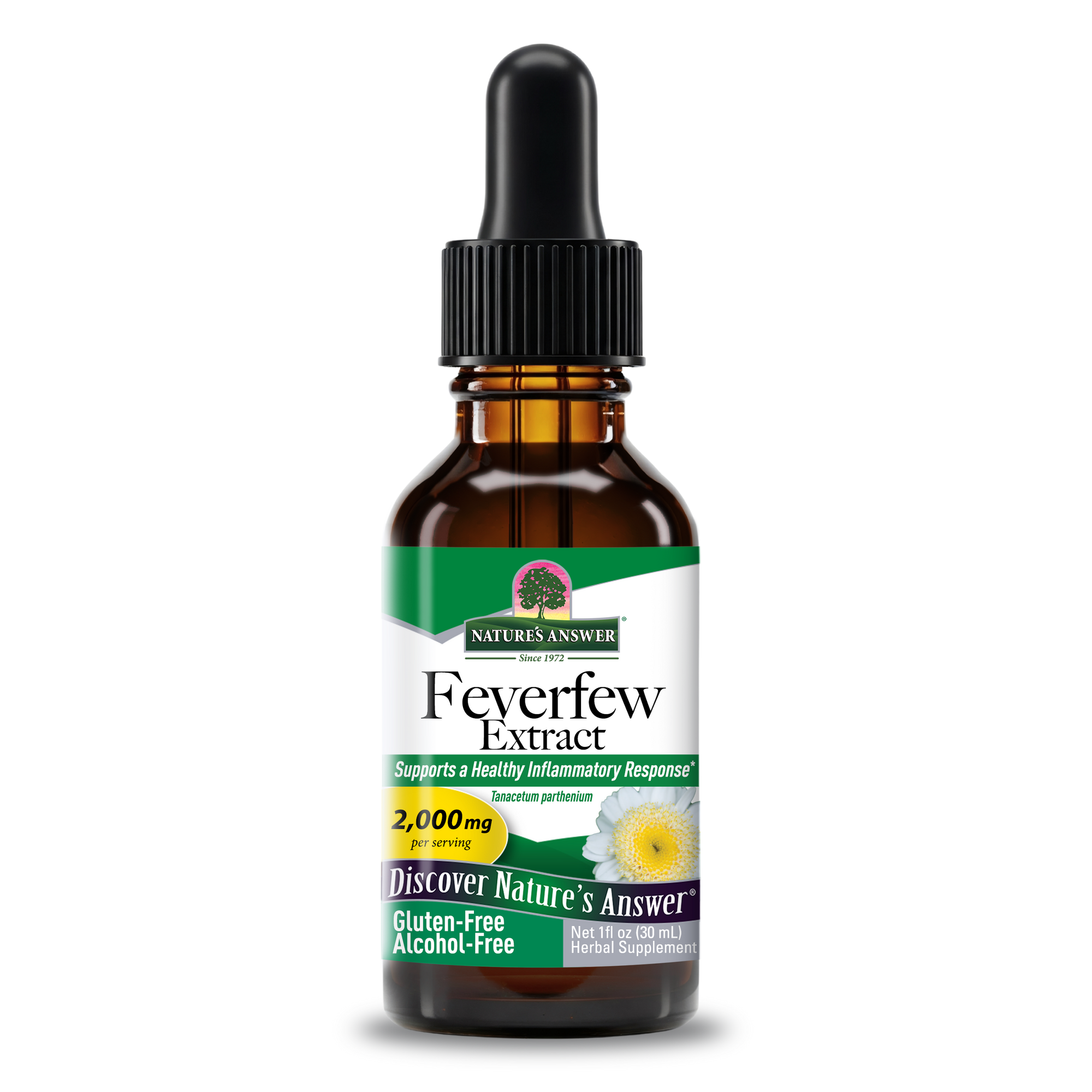 Feverfew Extract - Alcohol Free Liquid