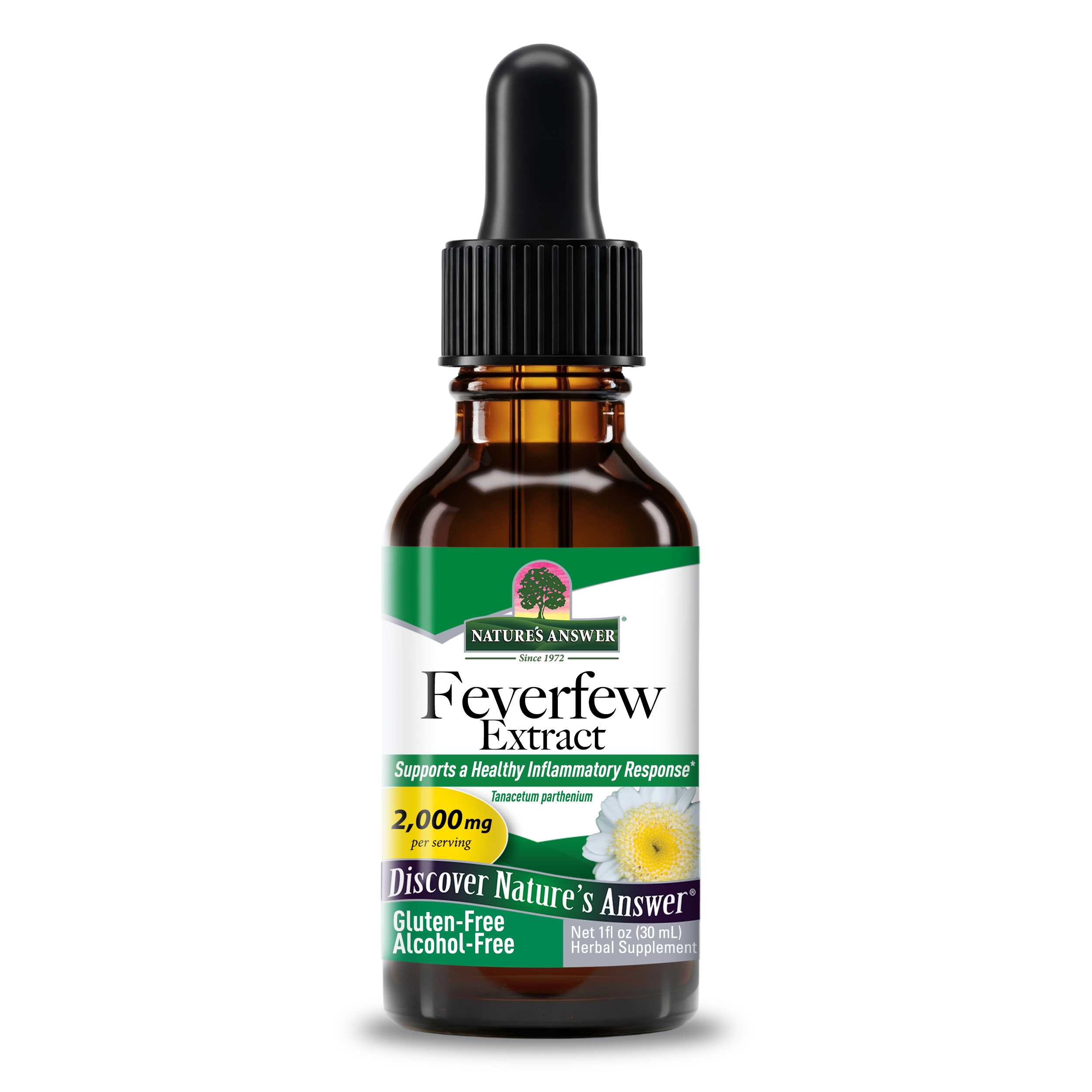 Feverfew Extract - Alcohol Free Liquid