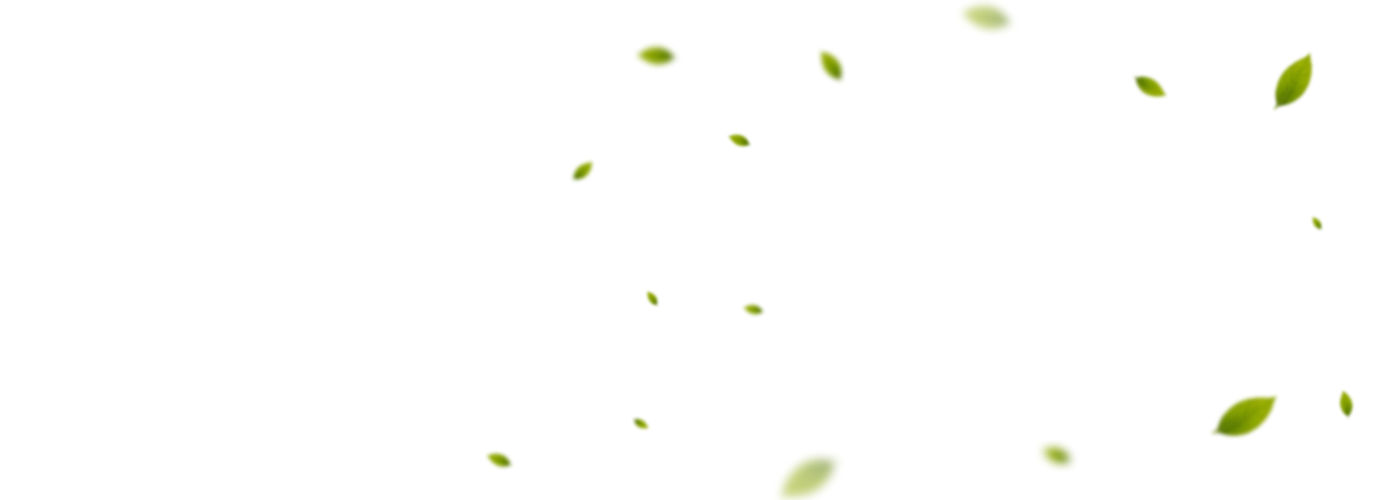 Brocco Glutathione Capsules | Nature's Answer Brocco Glutathione Capsules | Nature's Answer