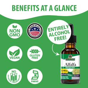 Alfalfa Extract - Alcohol Free Liquid