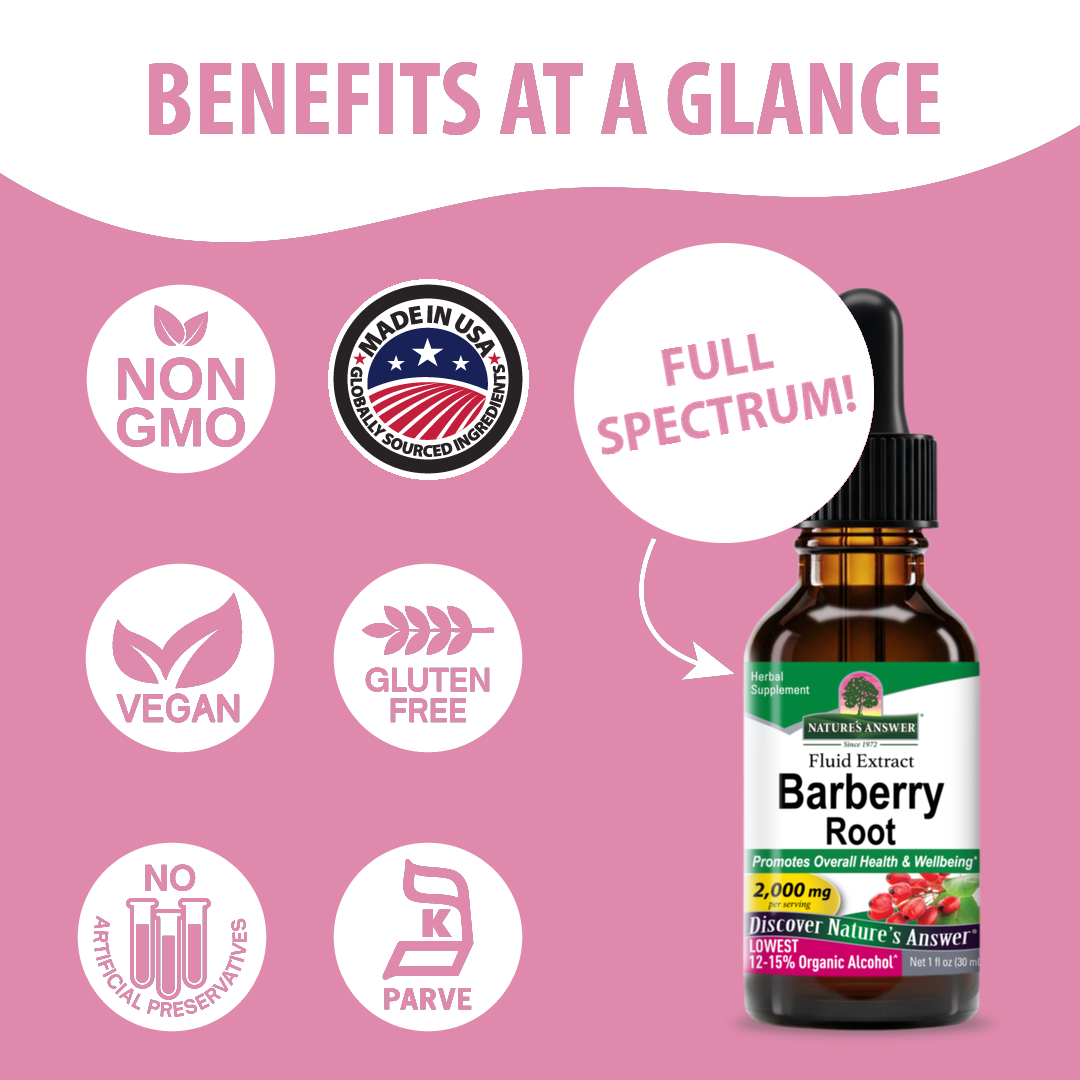 Barberry Extract - Low Alcohol Liquid