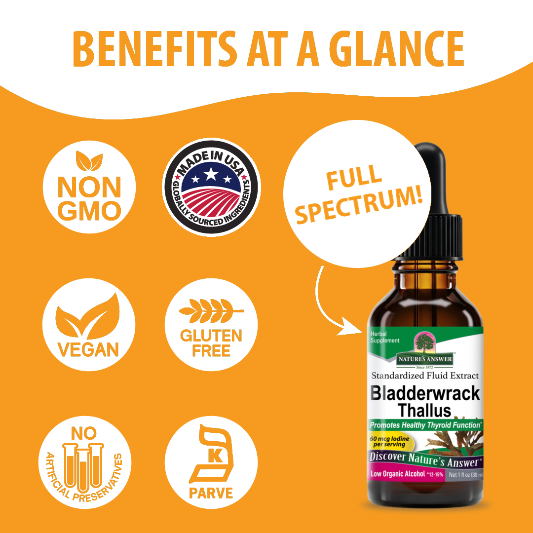 Bladderwrack Extract - Low Alcohol Liquid