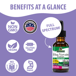 Blue Vervain Extract - Low Alcohol Liquid