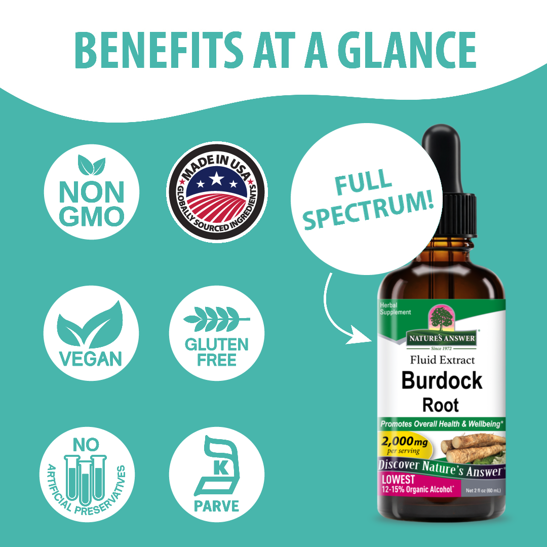 Burdock Extract - Low Alcohol Liquid