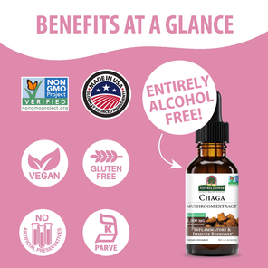Chaga Mushroom Extract - Alcohol Free Liquid