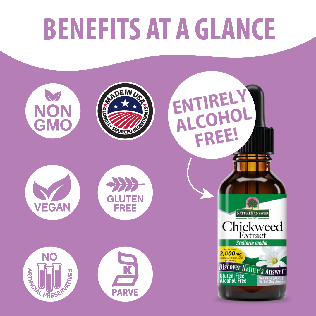 Chickweed Extract - Alcohol Free Liquid