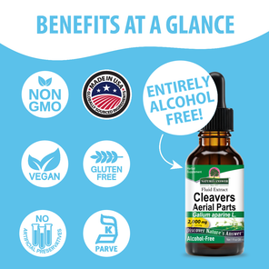 Cleavers Extract - Alcohol Free Liquid