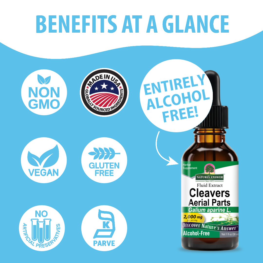 Cleavers Extract - Alcohol Free Liquid