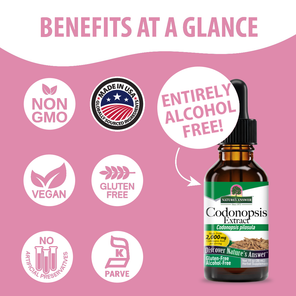 Codonopsis Extract - Alcohol Free Liquid