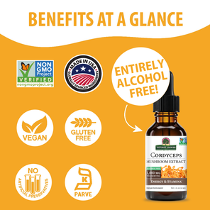 Cordyceps Extract - Alcohol Free Liquid