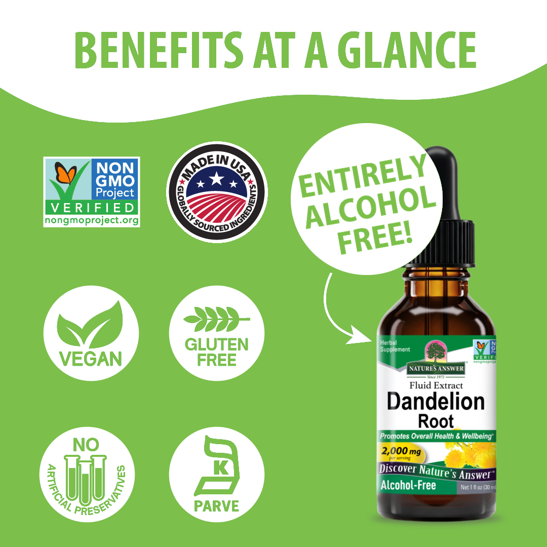 Dandelion Extract - Alcohol Free Liquid
