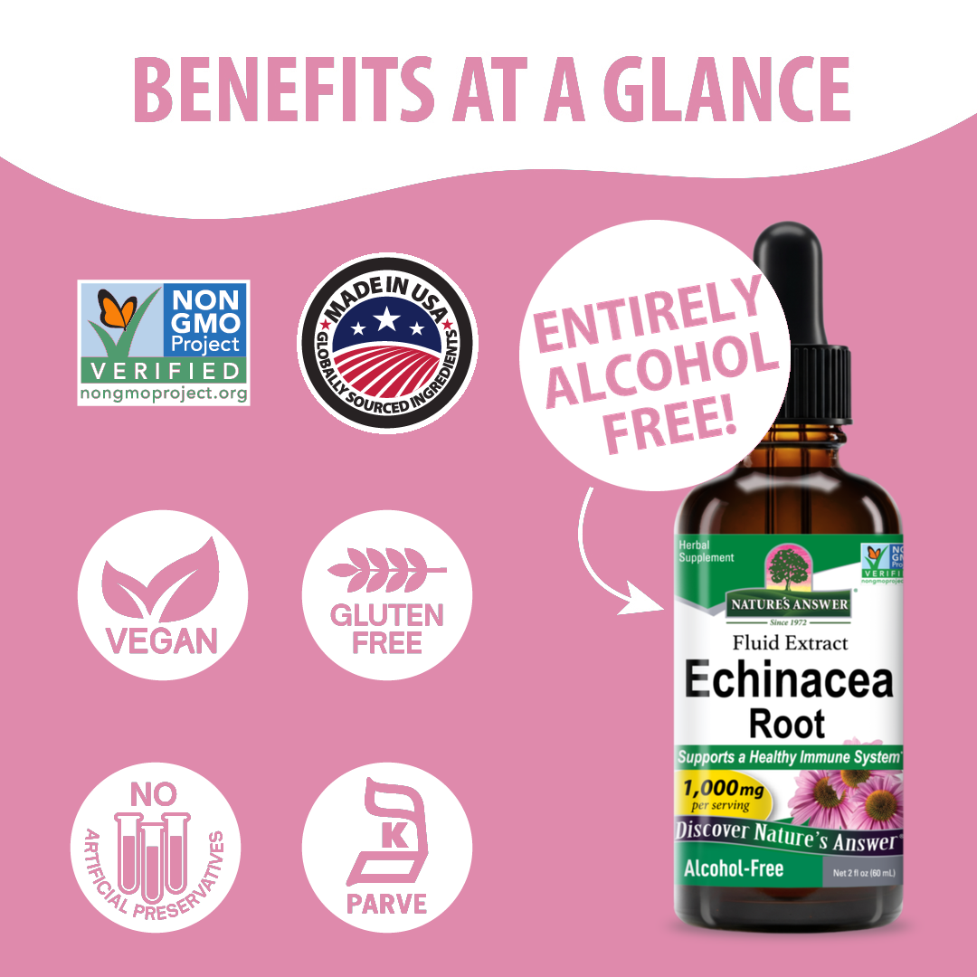 Echinacea Extract - Alcohol Free Liquid