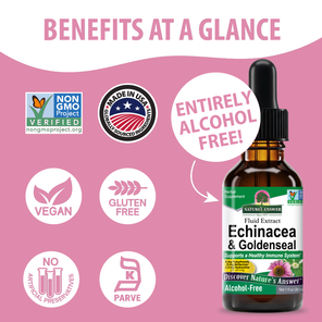 Echinacea & Goldenseal Extract - Alcohol Free Liquid
