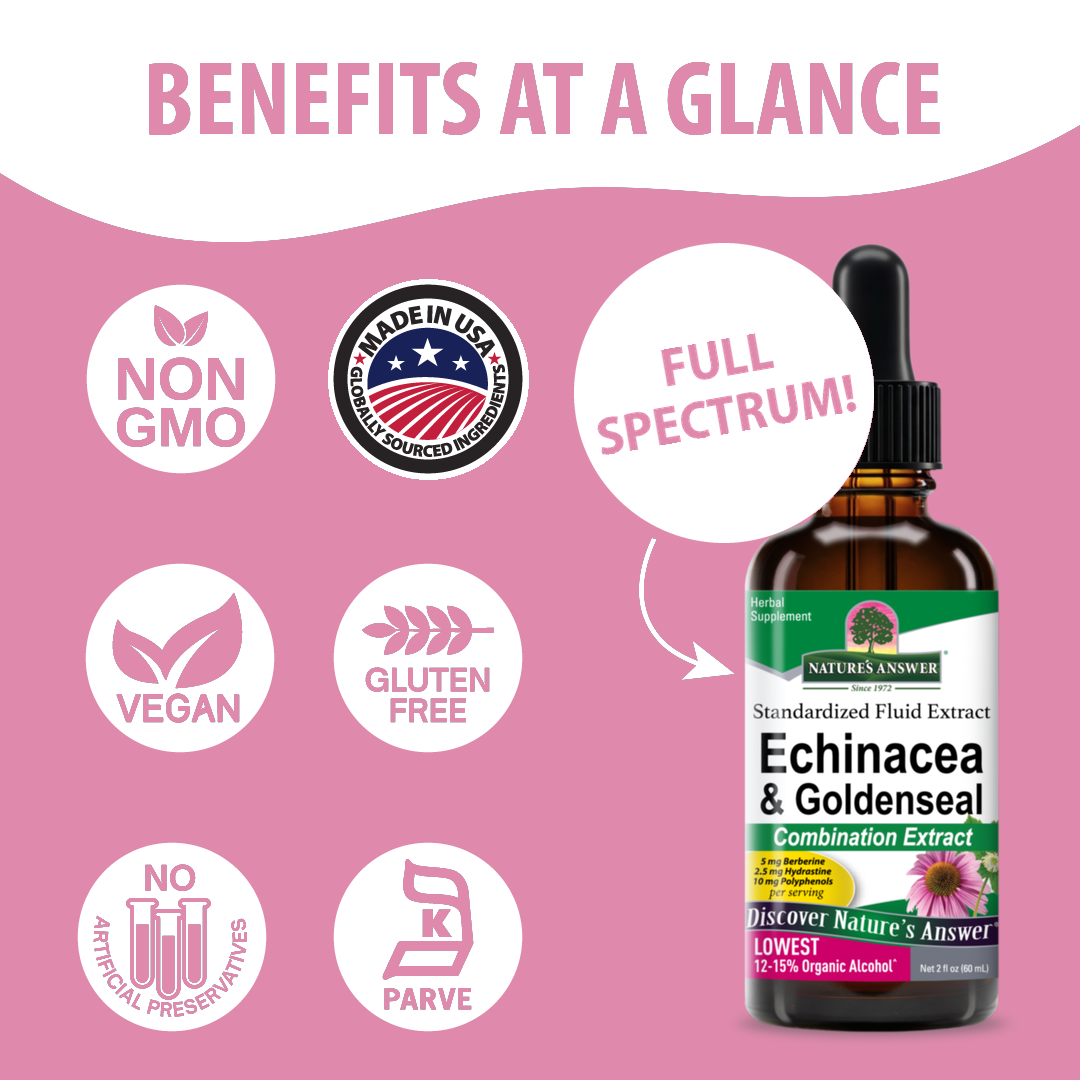 A pink promotional graphic for an amber dropper bottle labeled Nature's Answer Echinacea Aerial Parts. The image includes large text reading 'BENEFITS AT A GLANCE' and several circular callouts with icons for Non GMO, Made in USA, Vegan, Gluten Free, Full Spectrum, and No Artificial Preservatives.