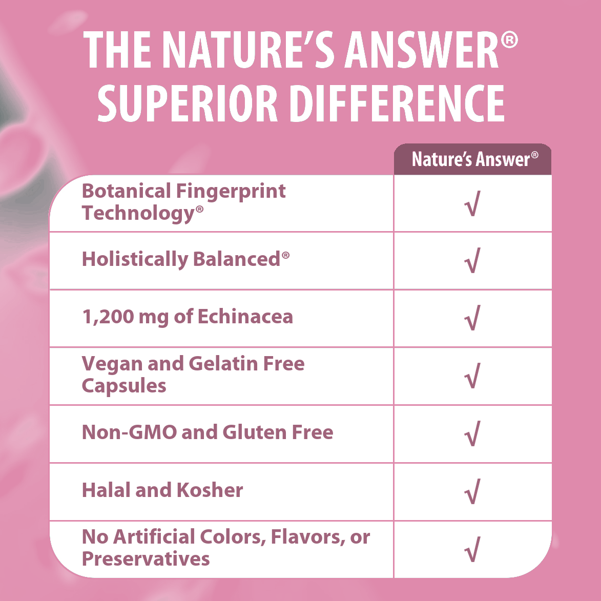 Echinacea Herb - Veggie Capsules