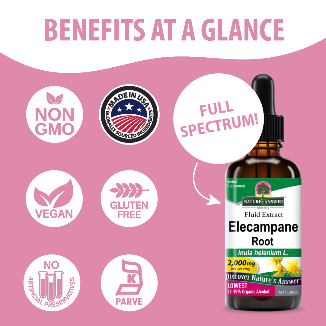 Elecampane Extract - Low Alcohol Liquid