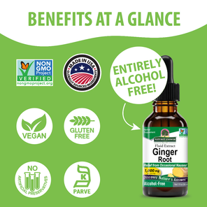 Ginger Extract - Alcohol Free Liquid