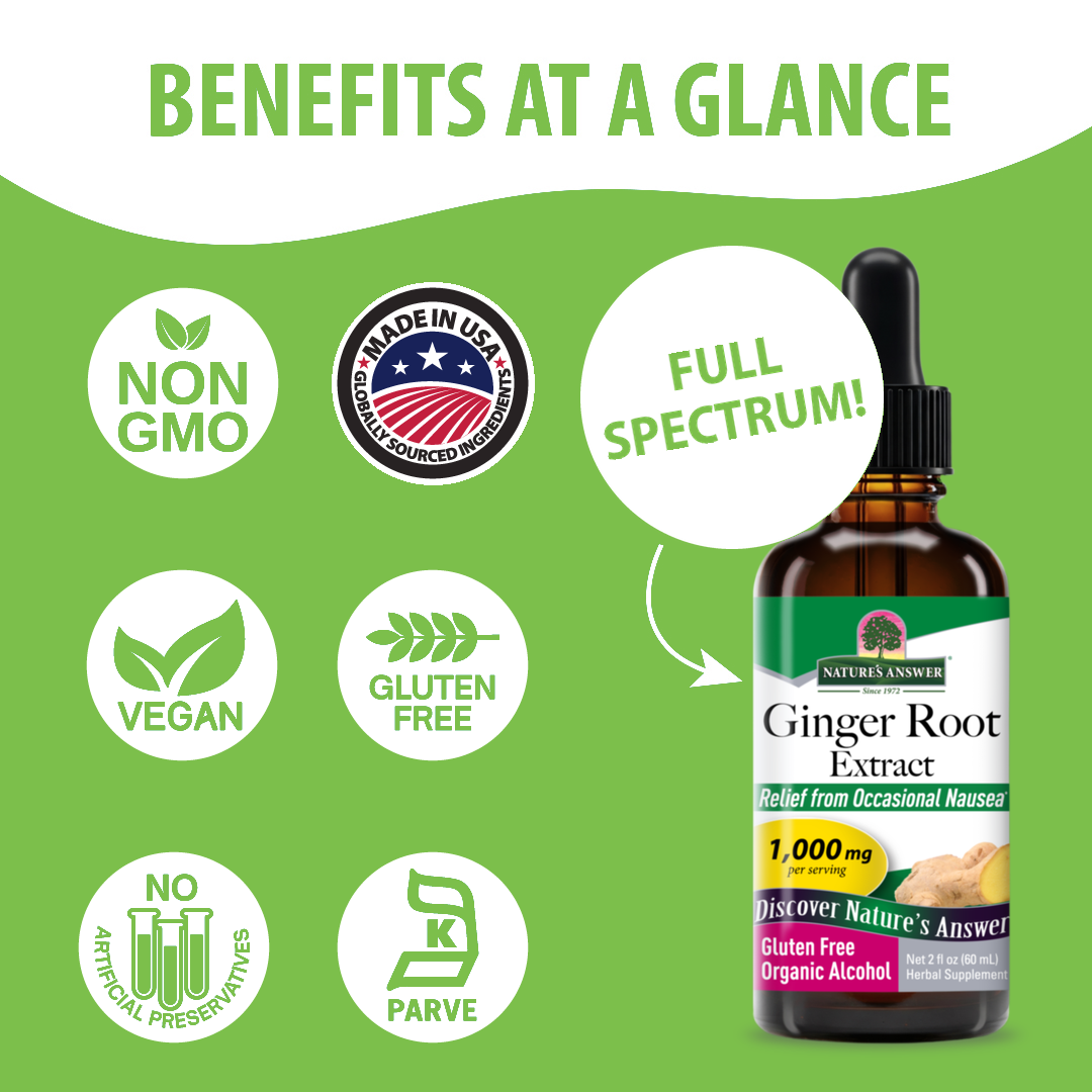 Ginger Extract - Low Alcohol Liquid