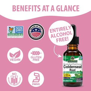 Goldenseal Extract - Alcohol Free Liquid